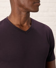 Organic Luxe Stretch Jersey Slim V-Neck Tee