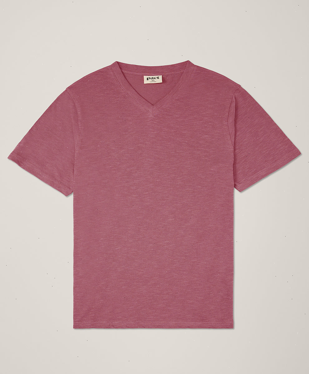 Organic Featherweight Slub V-Neck Tee