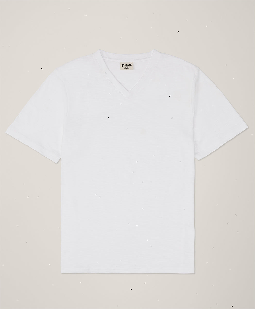 Organic Featherweight Slub V-Neck Tee